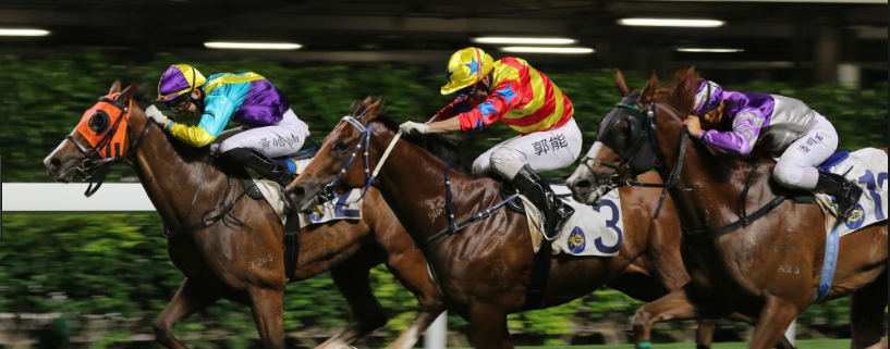 Professional Horse Racing Tips Melbourne – All What You Need In Terms Of Horse Racing