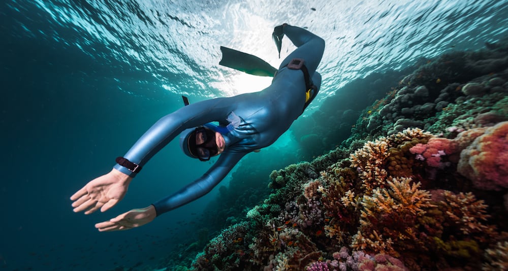 Different Types of Freediving Courses Bali You Should Know About
