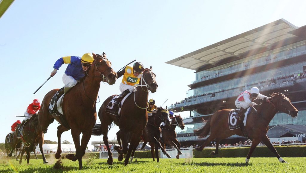 Horse Racing Tips Sydney Professional Horse Racing Tips Sydney