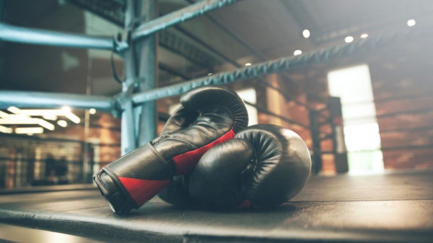Picking The Best Professional Boxing Gloves For Your Training
