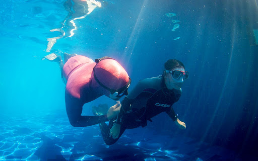 How to Save Your Free Diving Tours Memories