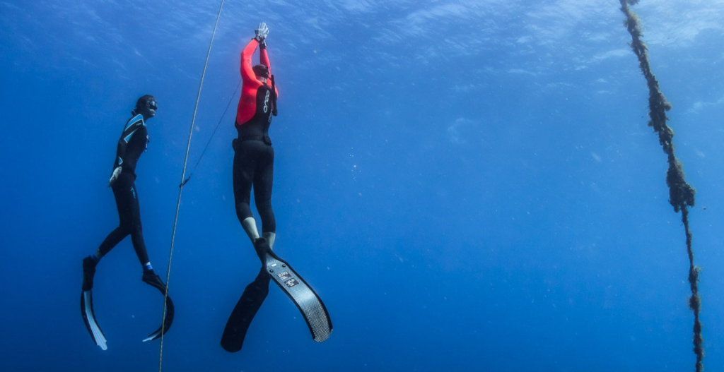 learn to freedive Bali