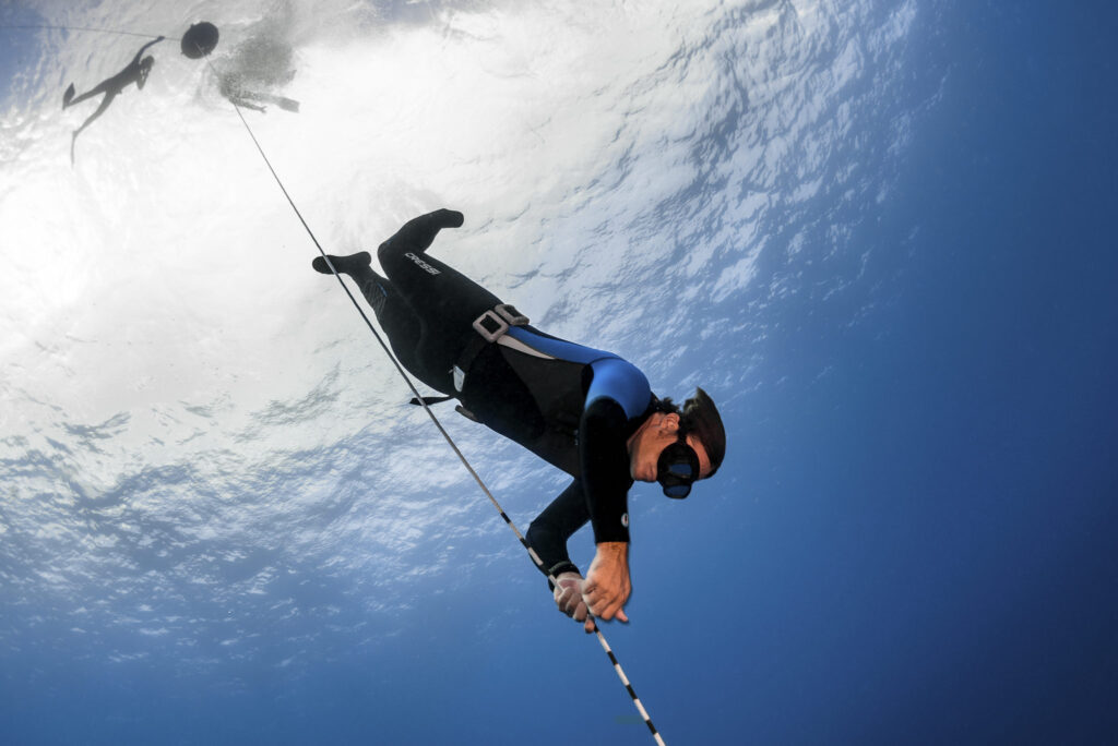 Freedive Instructor Courses