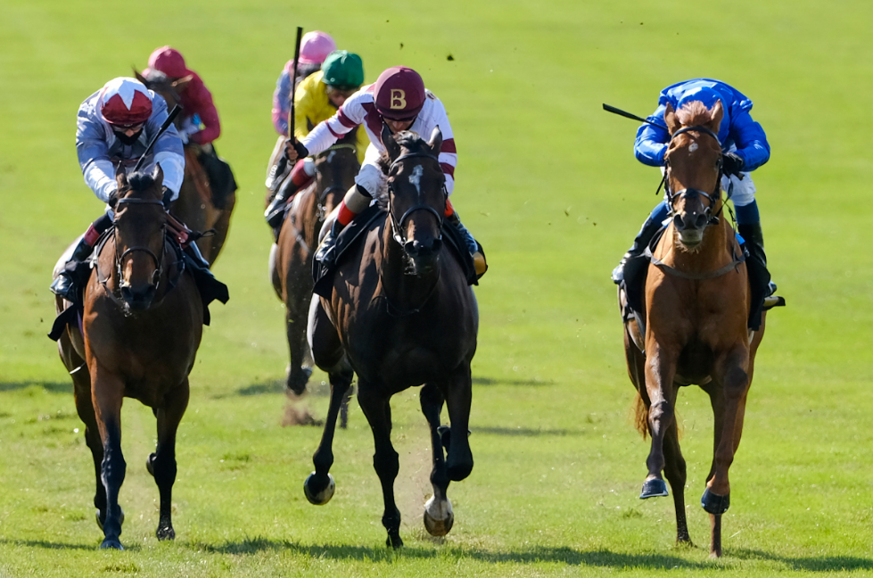 Top Horse Racing Tips You Should Know
