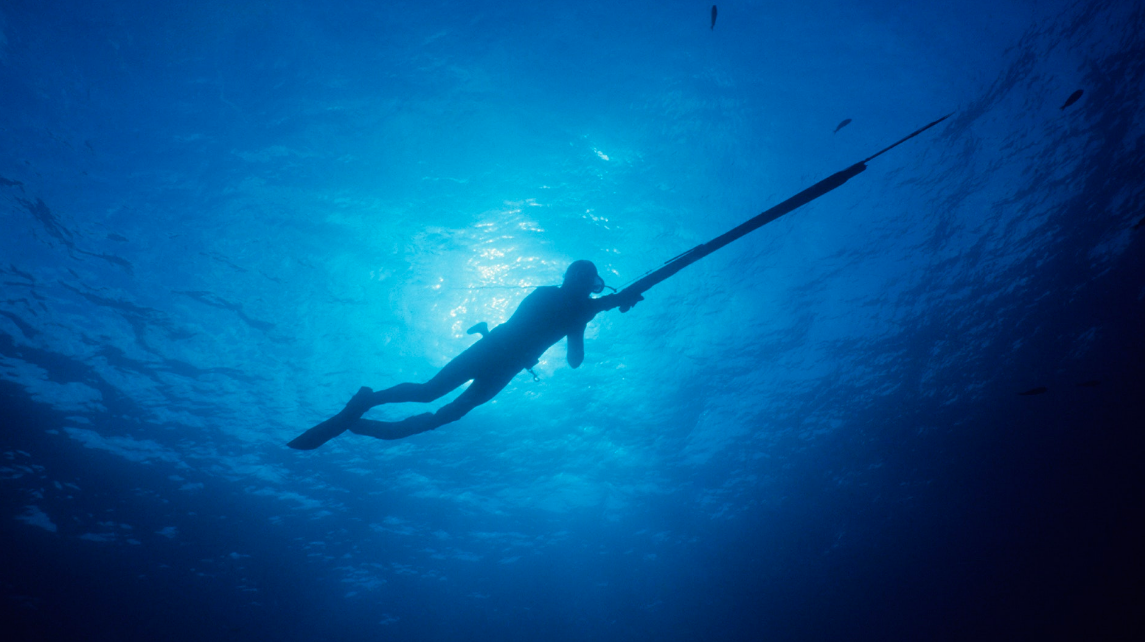 How to Prepare For a Freediving Course Philippines