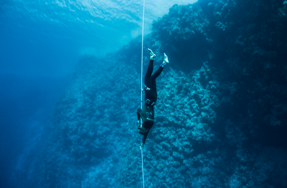A Brief History Of Free-Diving Course And Its Place In The Modern Era