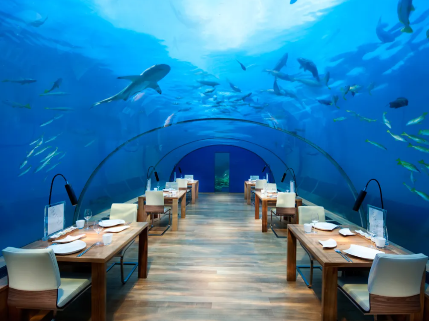 Why Should You Consider Oceanarium Indian Ocean?