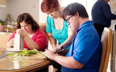What exactly is NDIS Support Services Jobs Byron Bay Job & Who can apply for it?