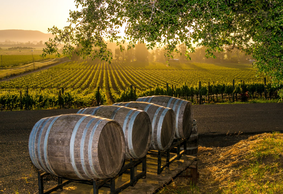 Riverland wineries