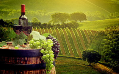 What You Should Know About Riverland Wineries?