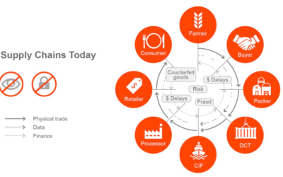 The Agricultural Supply Chain: How Food Gets From Farm to Table