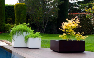 The Top 6 Tall Planters You Can Find In New Zealand