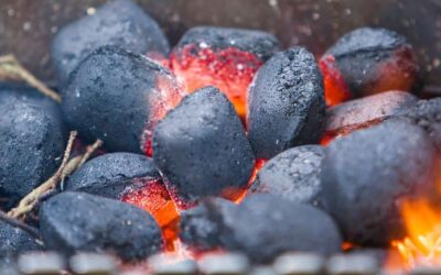 Charcoal Briquettes Near Me: The Different Types of Charcoal Briquettes You Can Find Near You