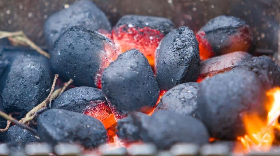 Charcoal Briquettes Near Me: Different Types of Charcoal Briquettes