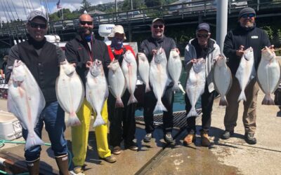 Halibut Fishing Charters: A Fun and Exciting Adventure on the Water