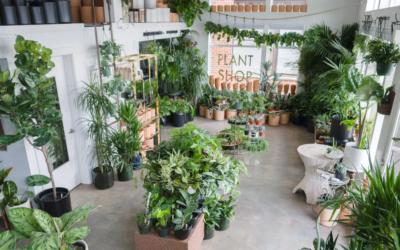 Can A Plant Shop Be A Gift Store? Signs Pointing To Yes
