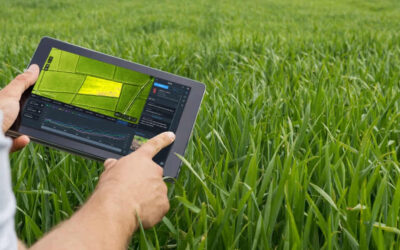 5 Reasons Why Every Farm Needs Management Software