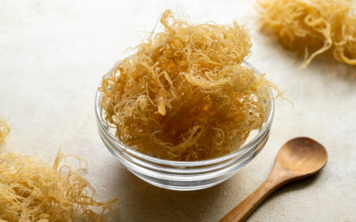 Sea Moss: The Miraculous Healing Properties of the Ocean’s Superfood