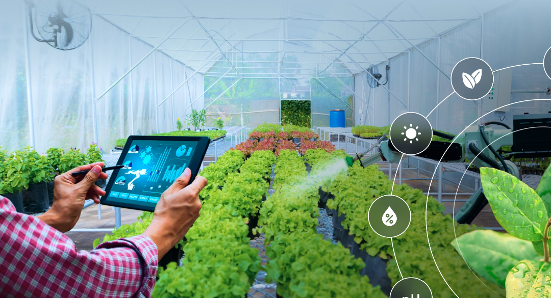 Revolutionising Farming With the Latest Agriculture Software Solutions