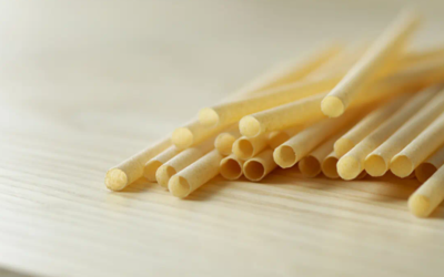 All About Biodegradable Straws Made From Eco-Friendly Material