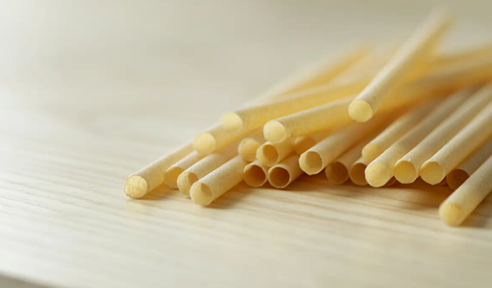 All About Biodegradable Straws Made From Eco-Friendly Material