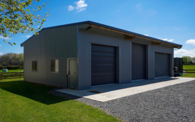 Exploring 6 Different Types of Sheds in Auckland