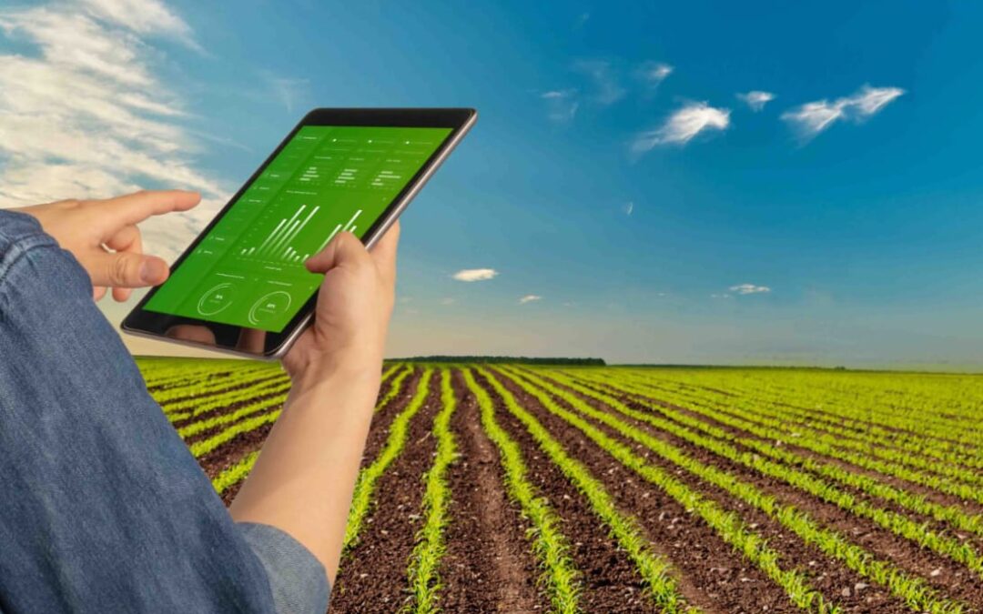 The Rise Of Agriculture Software: Transforming Modern Farming