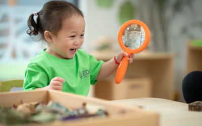 Why Choose Childcare in Beaudesert