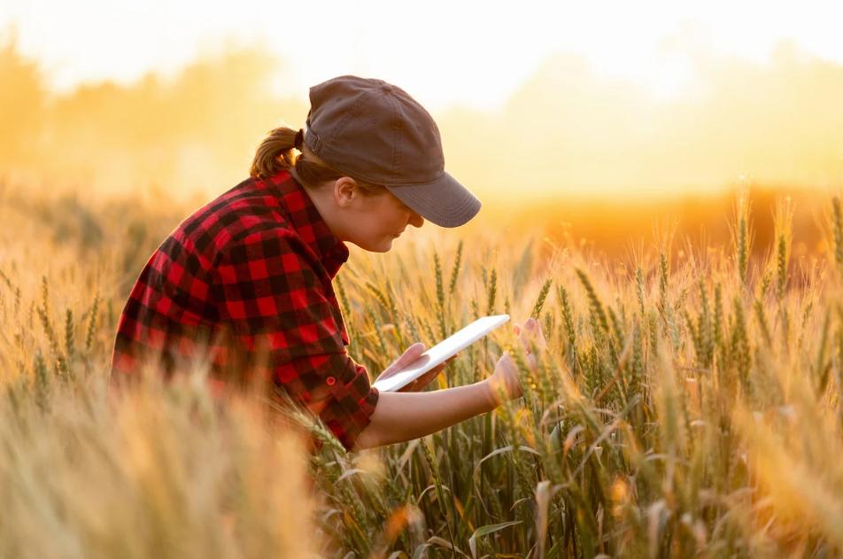 farm management system