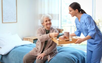 Navigating Aged Assistance: Essential Tips for Quality Elderly Care