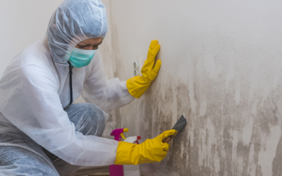 The Ultimate Guide to Tackling Mould: Tips for a Cleaner Home