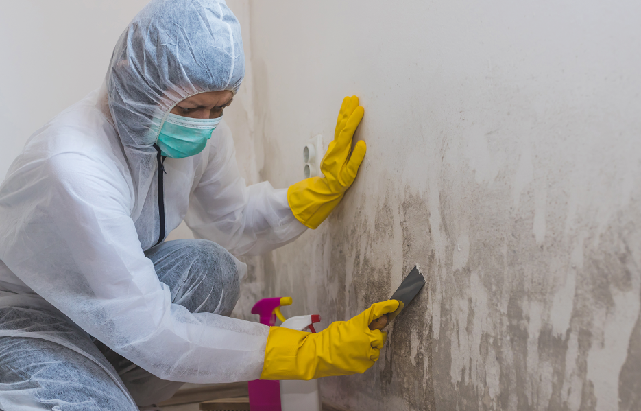 The Ultimate Guide to Tackling Mould: Tips for a Cleaner Home