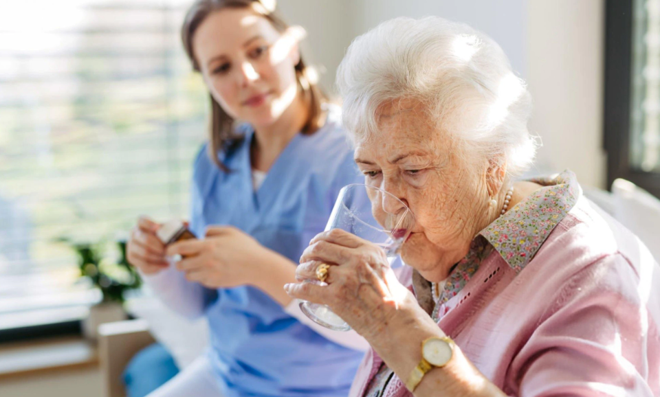 Promote The Physical Well-Being Of Elders With Senior Care Service