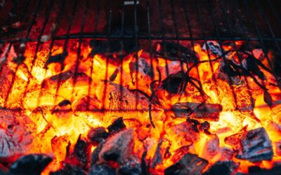 The Ultimate Selection of the Best Charcoal for Perfect Grilling Every Time