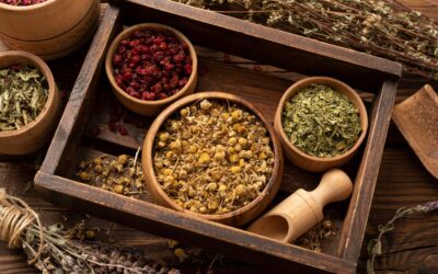 What to Consider when Buying Wholesale Herbs in Australia